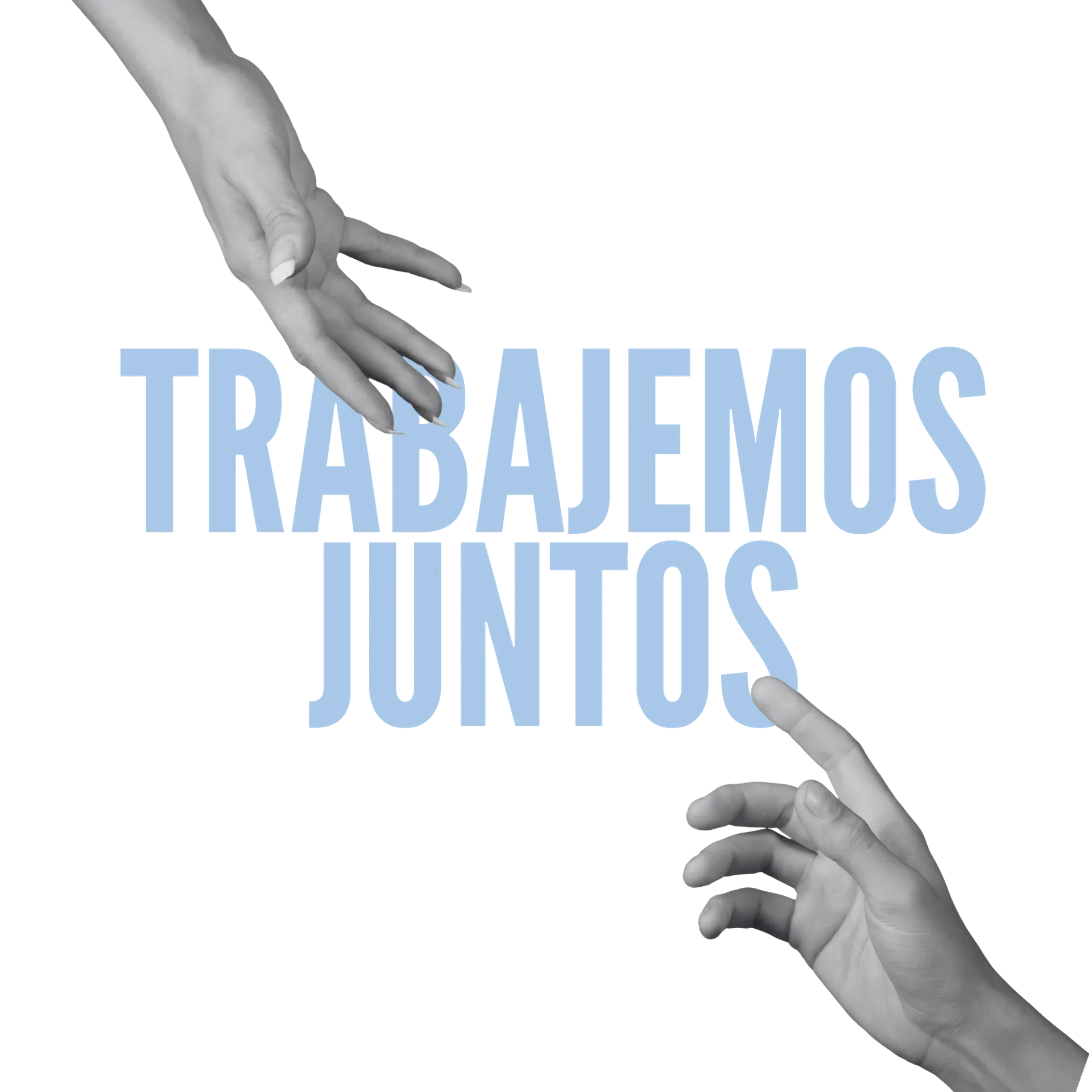 Colaboradores